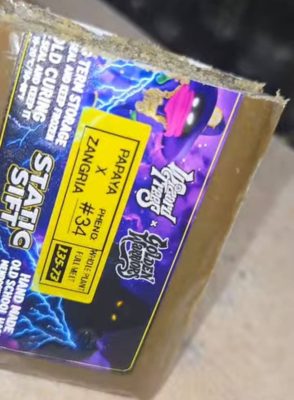 Wizard Trees x Golden Warriors Hash Static Sift