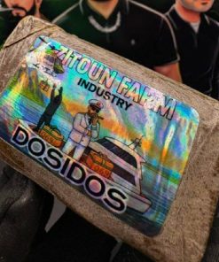 ZITOUNE INDUSTRIE FARM